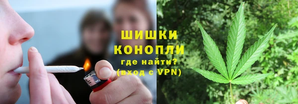 твердый Аркадак