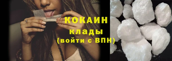 твердый Аркадак