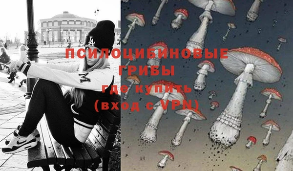 молекула духа Армянск