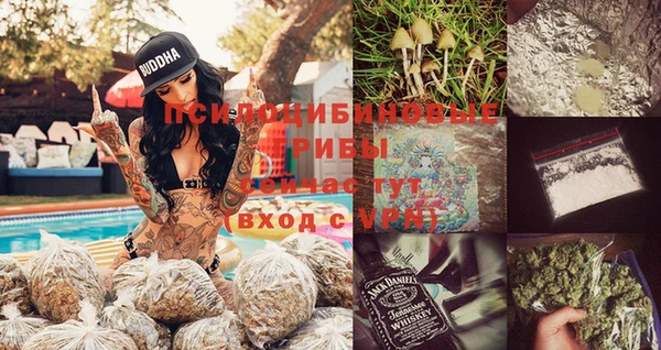 тгк Арсеньев