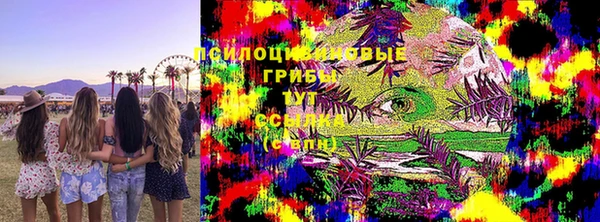 молекула духа Армянск