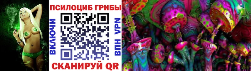 Галлюциногенные грибы мицелий  даркнет сайт  Нефтекумск 