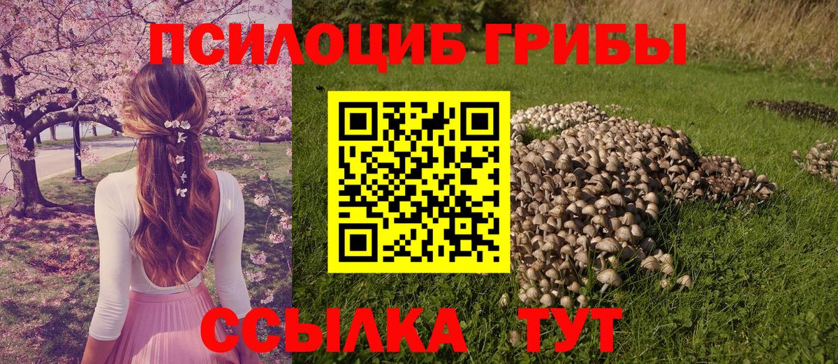 как найти закладки  Вход с VPN  Нефтекумск  Псилоцибиновые грибы ЛСД 