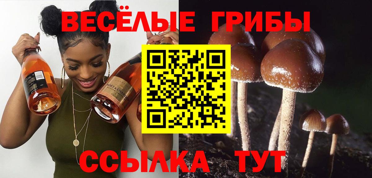 Галлюциногенные грибы мицелий Нефтекумск